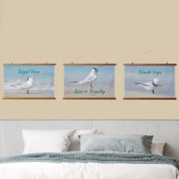 Royal Tern Seabirds Beach Photographie Côte