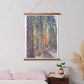 Tapisserie Suspendue Séquoia dans la forêt (Chambre à coucher)
