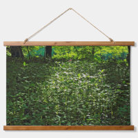 Sous-bois éclairé. Blackweir Woods, Cardiff