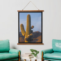 Sunlit Saguaro Cactus