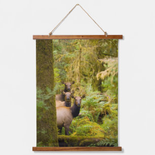 Tapisserie Suspendue Trois vaches élans Roosevelt regardant la vue