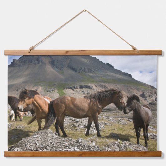 Tapisserie Suspendue Troupeau De Chevaux, Près De Hofn, Islande (Devant)