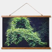 Vignes feuillues sauvages du Trône de la nature