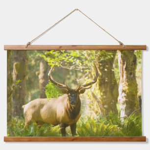 Tapisserie Suspendue Wapiti de Roosevelt Parc national Olympique, Was