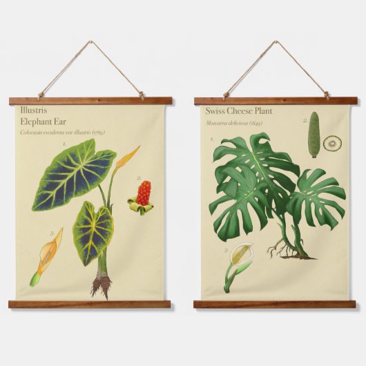 Tapisseries botaniques - Monstera (Double)