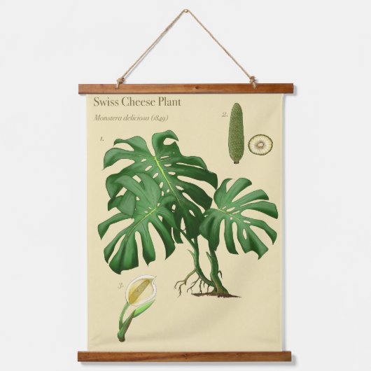 Tapisseries botaniques - Monstera (Recto 2)