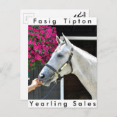 Tapit - Rote Hip no.140 Briefkaart (Voorkant / Achterkant)