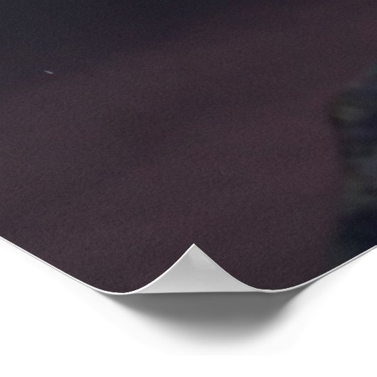 Tara Shannon Pink Clouds Thunderstorm Poster (Hoek)