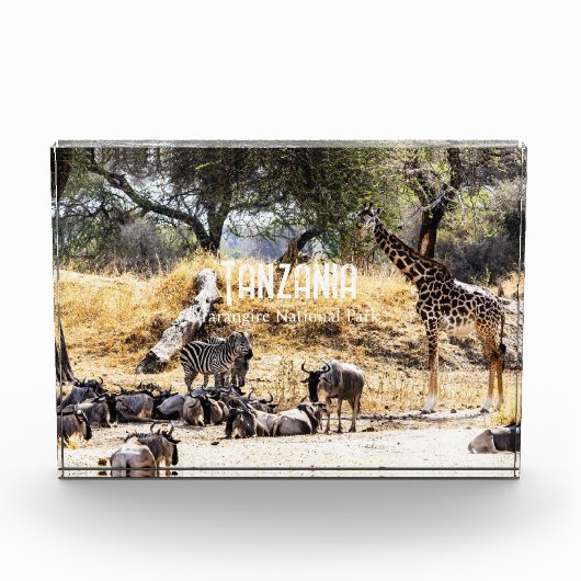 Tarangire National Park Fotoblokken (Voorkant)