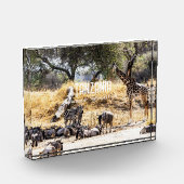 Tarangire National Park Fotoblokken (Links)