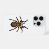Tarantula (Verso Horizontal)