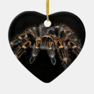 Tarantula Big Spider Hairy Arachnoid Keramisch Ornament