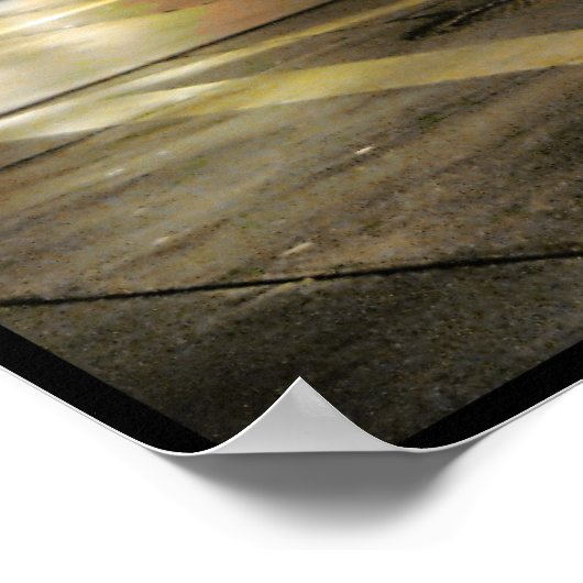 Tarantula billiers poster (Hoek)