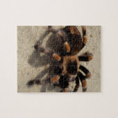 Tarantula brachypelma rode knie giftig legpuzzel (Horizontaal)