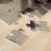 Tarantula brachypelma rode knie giftig legpuzzel (Zijkant)