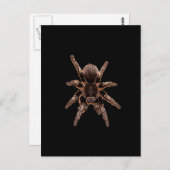 Tarantula Briefkaart (Voorkant / Achterkant)