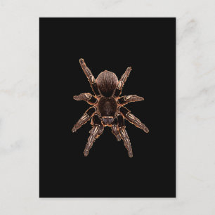Tarantula Briefkaart