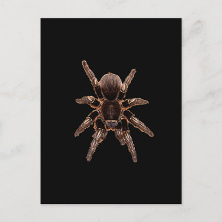 Tarantula Briefkaart