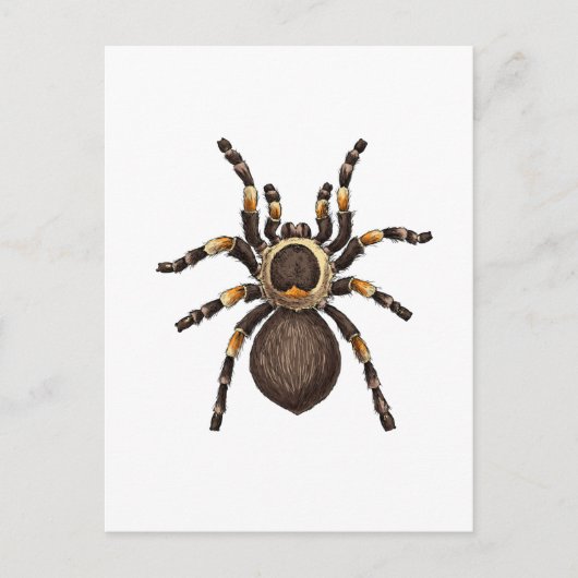 Tarantula Briefkaart (Voorkant)