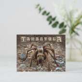Tarantula Briefkaart (Staand voorkant)