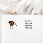 Tarantula cartoon illustratie etiket (Insitu)