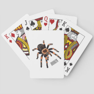 Tarantula cartoon illustratie pokerkaarten