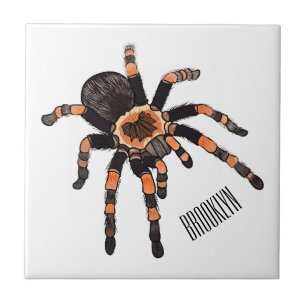 Tarantula cartoon illustratie tegeltje