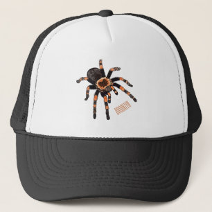 Tarantula cartoon illustratie trucker pet