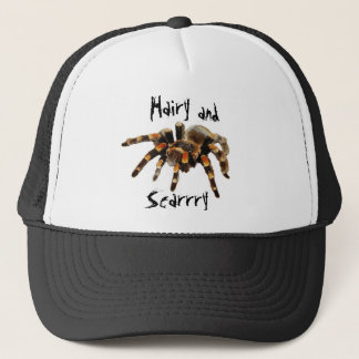 Tarantula, harig en eng, spin trucker pet