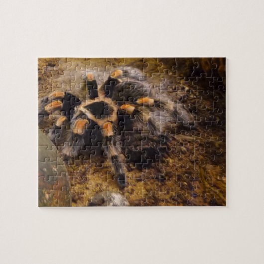 Tarantula Jigsaw Puzzel (Horizontaal)