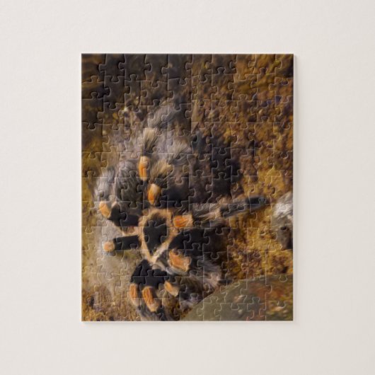 Tarantula Jigsaw Puzzel (Verticaal)
