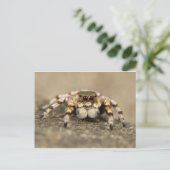Tarantula Jumping Bird Spider geweldige accessoire Briefkaart (Staand voorkant)