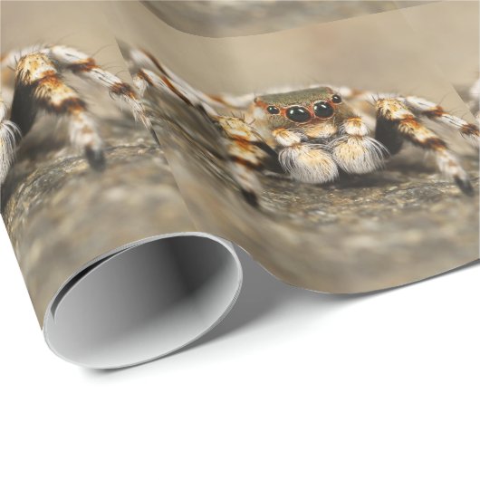Tarantula Jumping Bird Spider geweldige accessoire Cadeaupapier (Rol Hoek)