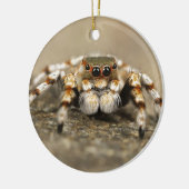 Tarantula Jumping Bird Spider geweldige accessoire Keramisch Ornament (Links)