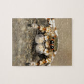 Tarantula Jumping Bird Spider geweldige accessoire Legpuzzel (Horizontaal)