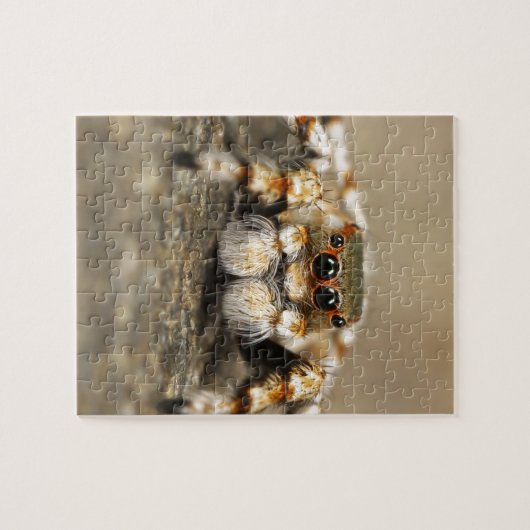 Tarantula Jumping Bird Spider geweldige accessoire Legpuzzel (Horizontaal)