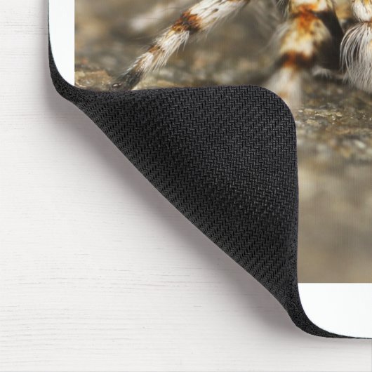 Tarantula Jumping Bird Spider geweldige accessoire Muismat (Hoek)