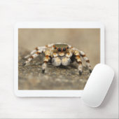 Tarantula Jumping Bird Spider geweldige accessoire Muismat (Met muis)
