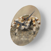 Tarantula Jumping Bird Spider geweldige accessoire Ronde Klok (Hoek)