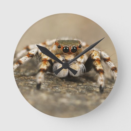 Tarantula Jumping Bird Spider geweldige accessoire Ronde Klok (Voorkant)