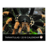Tarantula-kalender voor 2018 kalender (Hoes)