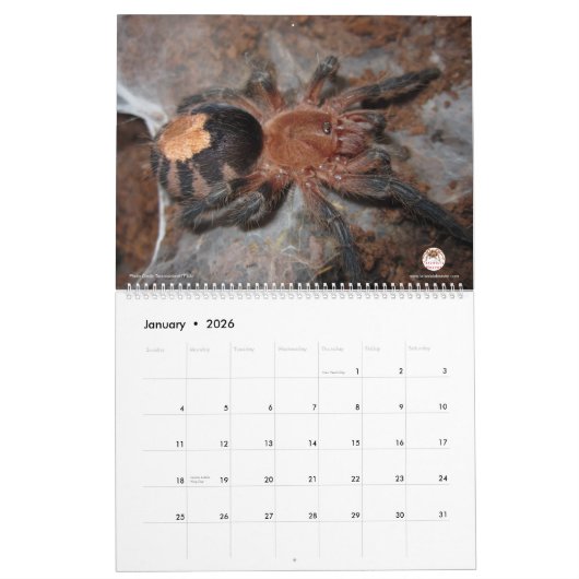 Tarantula-kalender voor 2018 kalender (Jan 2026)