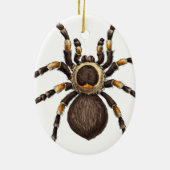 Tarantula Keramisch Ornament (Achterkant)