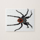 Tarantula Legpuzzel (Horizontaal)