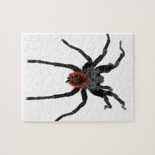 Tarantula Legpuzzel (Horizontaal)