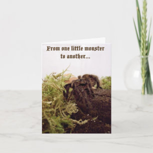 Tarantula Little Monster Birthday Card Kaart