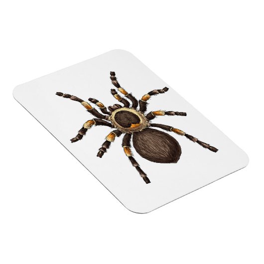 Tarantula Magneet (Rechterzijde)