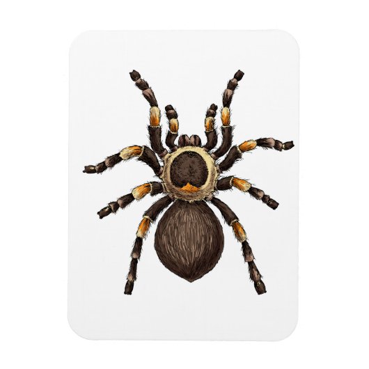 Tarantula Magneet (Verticaal)