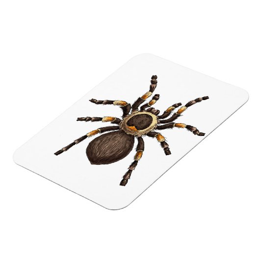 Tarantula Magneet (Linkerzijde)