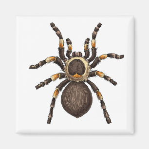 Tarantula Magneet
